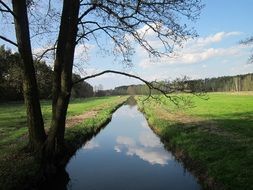 Stream in the forest in Poland