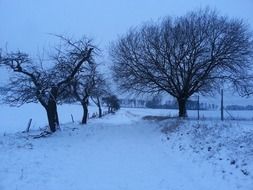 landscape of splendiferous winter countryside