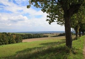 panorama of green field and summer trees in Germany