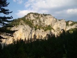 forested limestone mountain at clouds