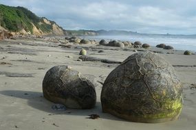 koekohe beach New Zealand, moeraki