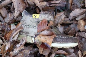 one children's shoe