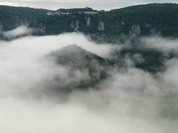 splendiferous fog landscape