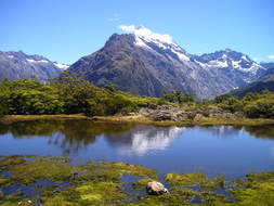 cute new zealand mountains