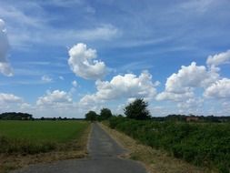 country road through green fields on a sunny day