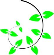 climbing vine plant primitive vector drawing