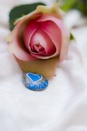 pebble with a heart near the rose