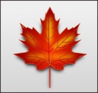 Clipart of red maple leaf