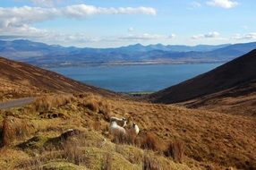 beautiful and delightful bay landscape