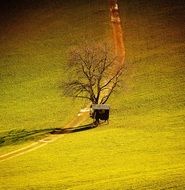 lonely house on a green meadow