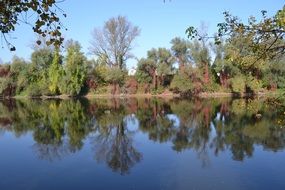 autumn forest at calm water