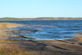 beach with dry grass near the lake