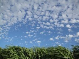 Lots of clouds on a sky
