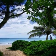 beach on a tropical island