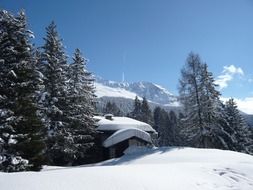 winter sunny day in the snowy alps in graubunden