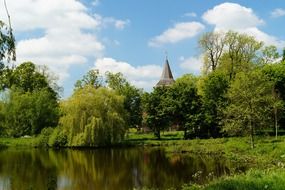 park in summer in timmel