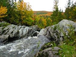 cascade river near the rocks