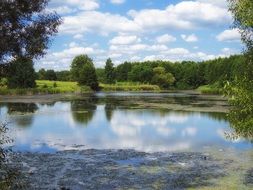 a pond in Ukraine