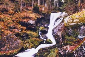 water stream in an autumn forest