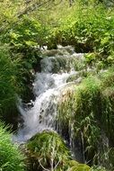 waterfall in greenery in the national park in croatia
