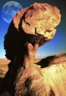 petrified forest national park in Arizona