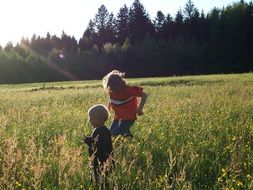 children play in a forest meadow