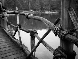 rope bridge water lake park