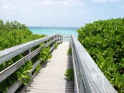 boardwalk to the ocean