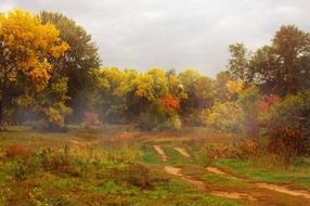 colorful autumn landscape in foggy haze