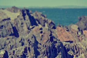 rocks near the sea coast