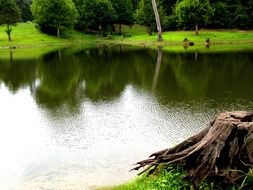 quiet pond among green nature