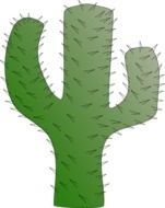 painted cactus on a white background