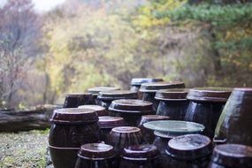 Jars in autumn time