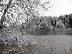 Landscape of the frozen lake and forest