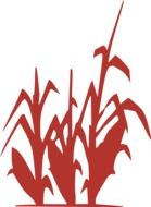 corn plant red silhouette drawing