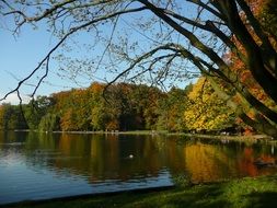 wonderful autumn lake