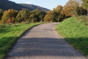 turn right on asphalt road in wilderness at autumn