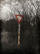 road sign in a forest