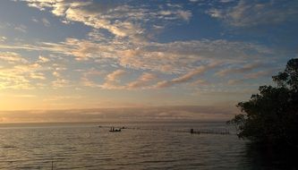 fish boats in the sea at dusk