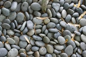 gray rock pebbles