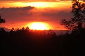 setting sun in the forest