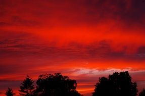 gloomy red sunset over the forest