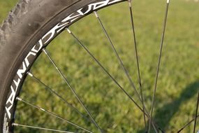 wheel spokes of a mountain bike