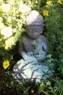 buddha statue in a flower field