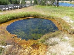 geothermal pool in yellowstone national park