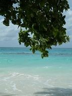 romantic coast in the Caribbean