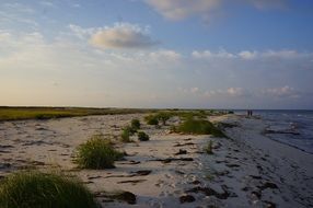 desert sandy beach