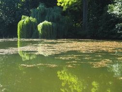 sunny day on the lake