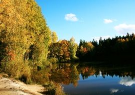 autumn landscape reflected in a pond