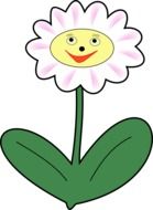 graphic image of a camomile with a smile